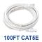 100ft CAT5e Network Cable