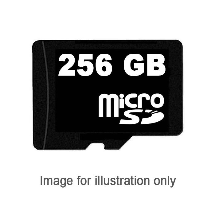 256GB microSD Card