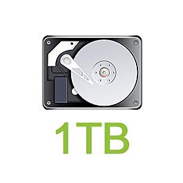 1TB Hard Drive for Surveillance DVR Recorders
