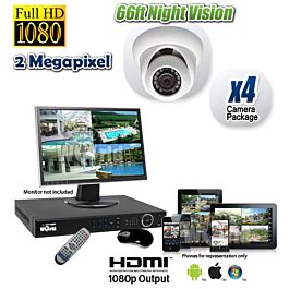 Megapixel Dome Camera System