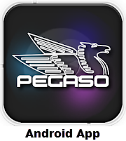 Google Play Pegaso Plus App