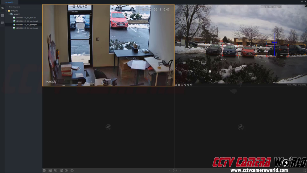 AvaEye software camera live viewing