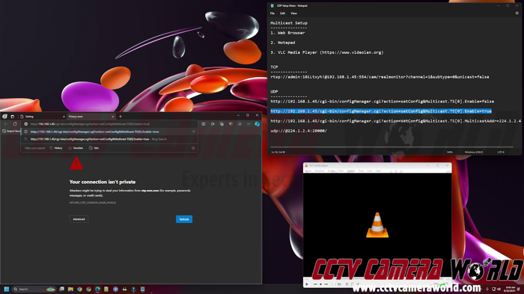 Copy and paste the UDP enable command into a web browser