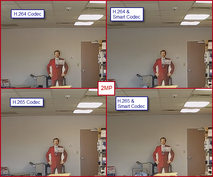 2MP Camera Images - Codec used listed over image