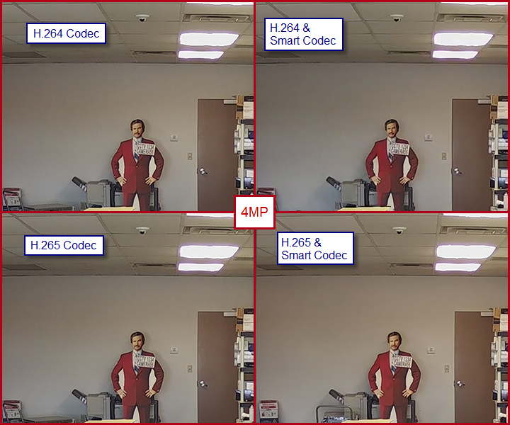 4MP Camera Images - Codec used listed over image