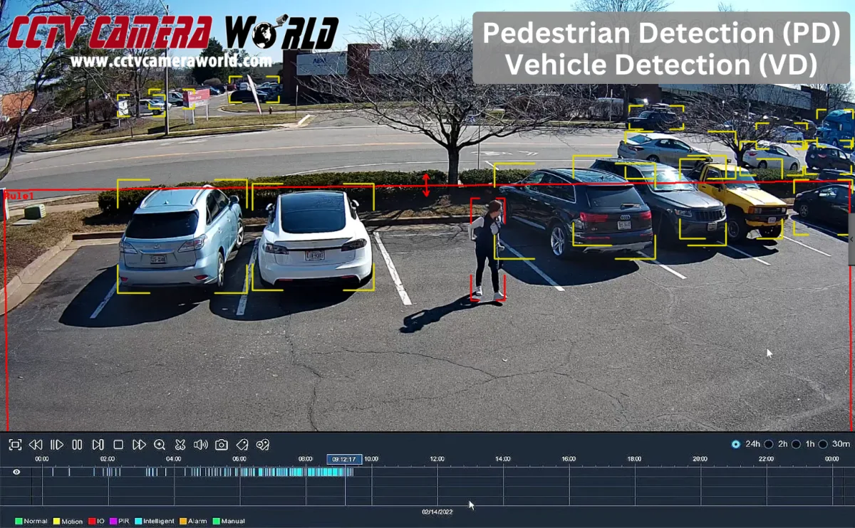 AI Based Video Detection