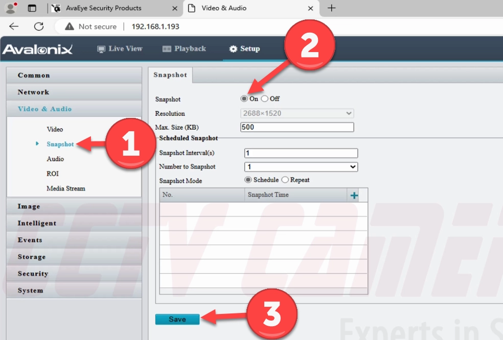 Enable Snapshots in the Video & Audio Snapshot menu