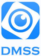 DMSS icon with text