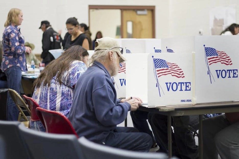 Man and Woman Voting