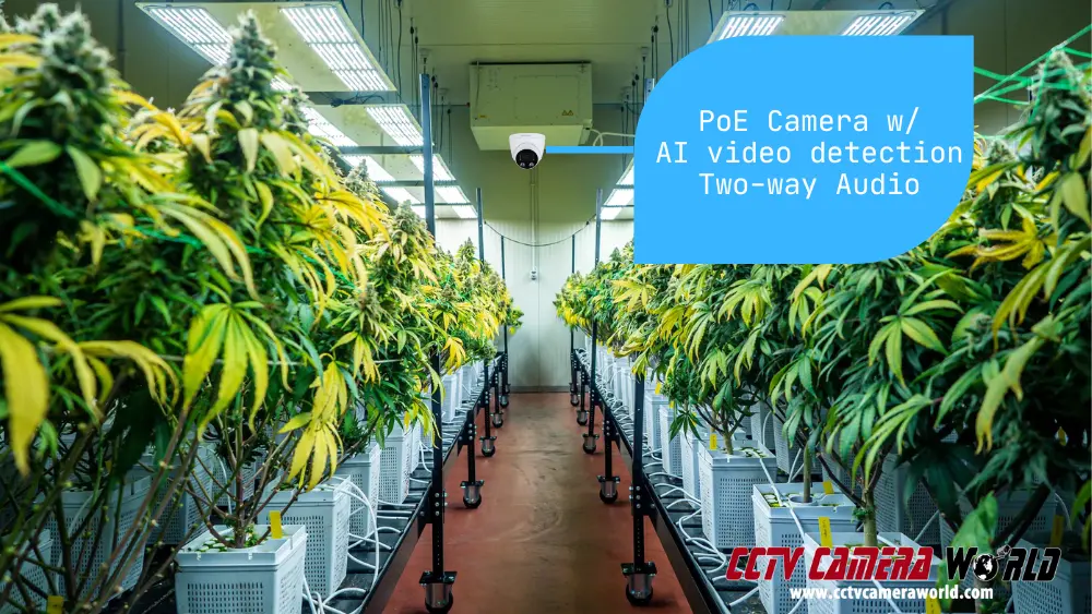 Cannabis security surveillance system installation in a grow operation