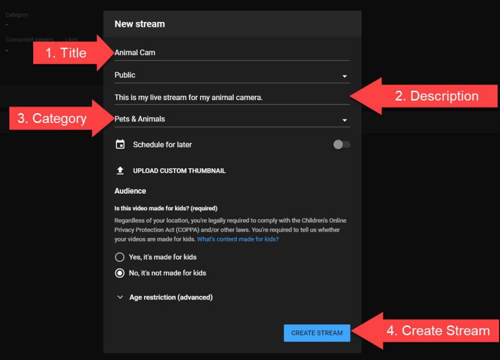 Youtube livestream wizard