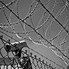 History of Security & Policing