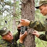 How Security Cameras Aid Wildlife Research and Conservation