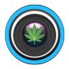 Security Cameras for Marijuana Businesses: A State-by-State Compliance Guide