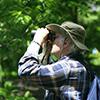 The Beginners Guide to Wildlife Photography