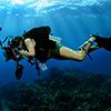 The Guide to Underwater Cameras and Photography