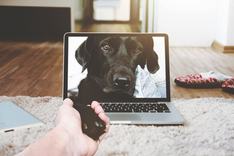 Remote Viewing Remote viewing security cameras